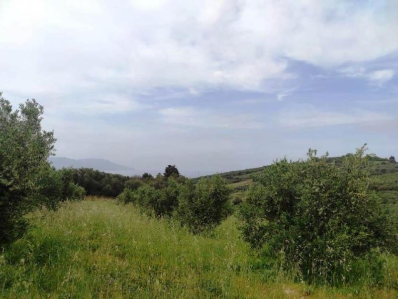 Kastellos bei Kournas Kreta, Kastellos: Grundstück mit Meerblick zu verkaufen Grundstück kaufen